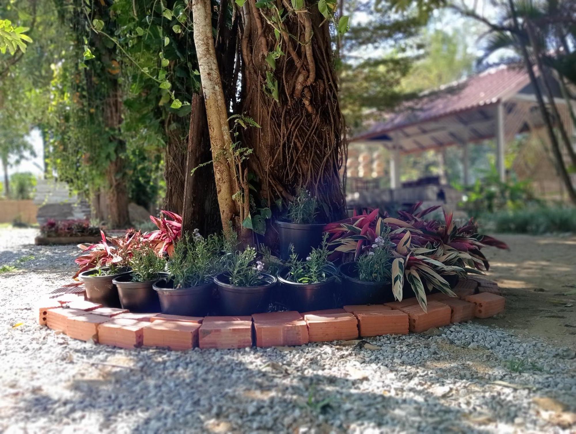 Vangvieng Ruby'Homestay Ванг-Виенг Экстерьер фото